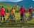 Cube vs. Giant vs. Specialized: Welche Marke passt zu dir?