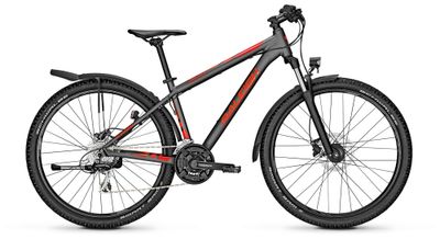 Bild von Raleigh - DAYMAX 