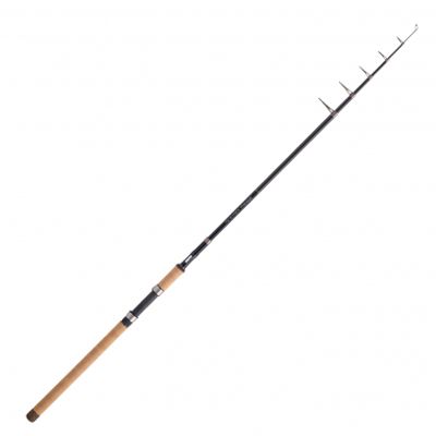 Balzer Spinnrute Tele Allround