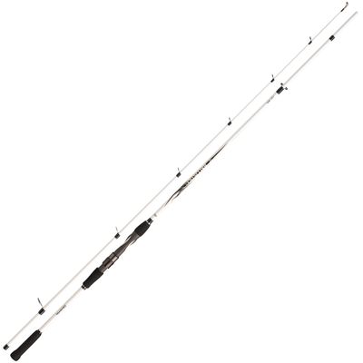 Daiwa BALLISTIC LTD BIG BAIT 2,55m 50-110g Hechtrute