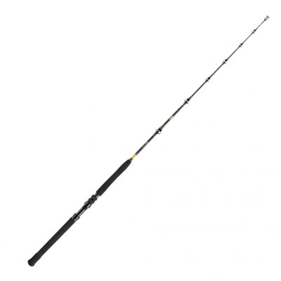 Daiwa BG Big Game