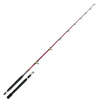Shimano Meeresrute Catana CX Trolling Lite 