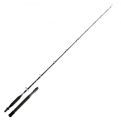 Shimano Meeresrute Tyrnos