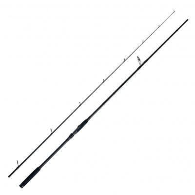 WFT Spinnrute Shad Control