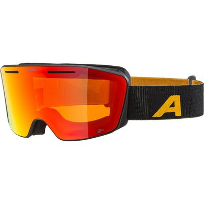Alpina Nendaz Q-Lite Skibrille