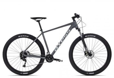 Axess TORRENT
