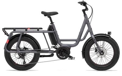 Benno E Lastenrad Benno Bikes RemiDemi 9D XL 2024 | 545 Wh | 20 Zoll | Sonstige