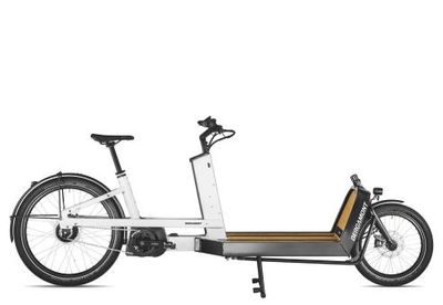 Bergamont E-Cargoville LJ Expert