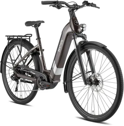 BESV TR 1.3 LS