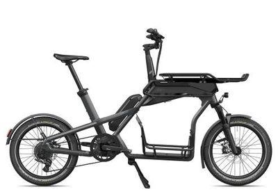 Ca Go Bike CS100