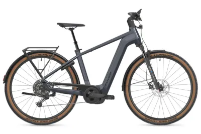 FLYER E-Bike Tourenrad FLYER Gotour 5.12 CX 2025 | 750 Wh | 29 Zoll | Diamant