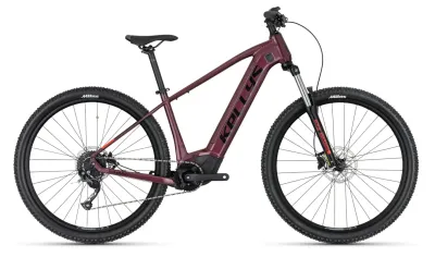 Kellys Tayen R10 P