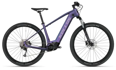 Kellys Tayen R10 P