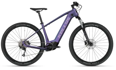 Kellys Tayen R10 P