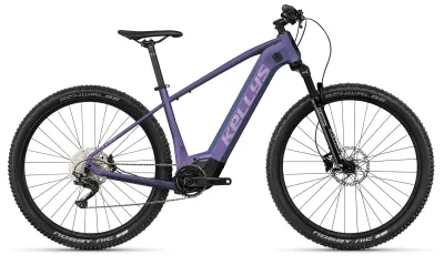 Kellys Tayen R50 P