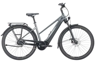 Pegasus E-Stadtrad Pegasus Premio EVO 5F Lite 2023 | 750 Wh | 28 Zoll | Trapez