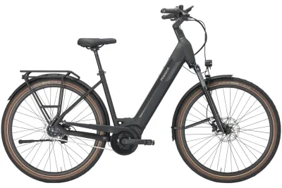 Pegasus Urban E-Bike Pegasus STRONG EVO 5R 2024 | 625 Wh | 28 Zoll | Tiefeinsteiger