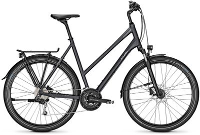 Raleigh Tourenrad Raleigh RUSHHOUR 4.0 XXL 2020