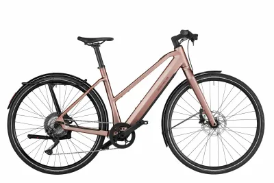 Riese und Müller UBN Seven touring 