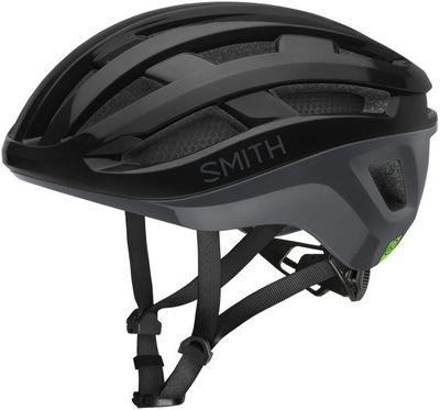 Smith Persist 2 MIPS