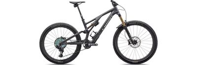 Specialized S-Works Stumpjumper EVO 