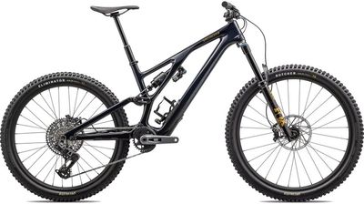 Specialized Stumpjumper Evo Expert 2024