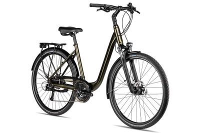 Tourenrad 2R Manufaktur TRX Plus 2026 | 28 Zoll | Tiefeinsteiger | 45 cm | forrest green (Bild 2)