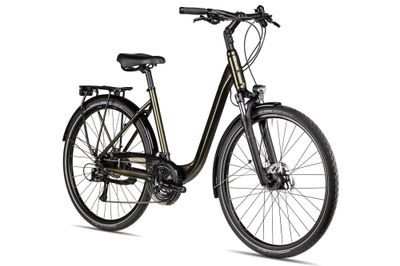 Tourenrad 2R Manufaktur TRX Plus 2026 | 28 Zoll | Tiefeinsteiger (Bild 2)