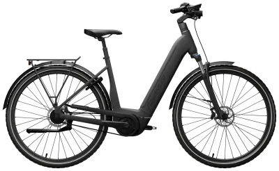 E-Bike Tourenrad ADVANCED EBIKE TOUR Pro 2023 (Bild 2)