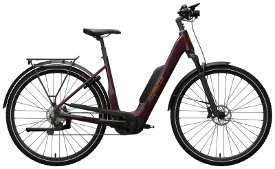 E-Bike Tourenrad ADVANCED EBIKE TREKKING Plus 2023 (Bild 1)