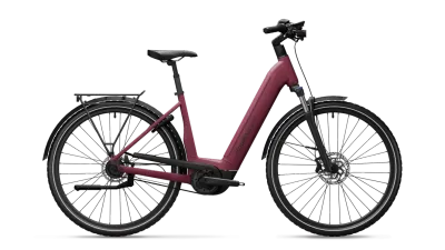 E-Stadtrad ADVANCED EBIKE TOUR Pro 750 RBN 5G Gates 2024 | 750 Wh | 28 Zoll | Tiefeinsteiger (Bild 1)