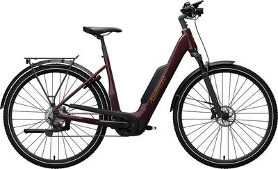E-Bike Tourenrad ADVANCED EBIKE Trekking Plus 2025 | 545 Wh | 28 Zoll | Tiefeinsteiger (Bild 1)