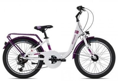 Kinderfahrrad 20 Zoll Almrausch GLÜCK 7 20 2025 | 20 Zoll | Tiefeinsteiger (Bild 1)