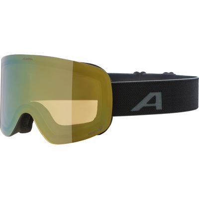 Skibrille Alpina Penken Q Skibrille 0 (Bild 2)