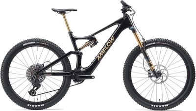 Enduro E-Bike Amflow PL Carbon Pro 2026 | 800 Wh | 29 Zoll | Diamant (Bild 1)