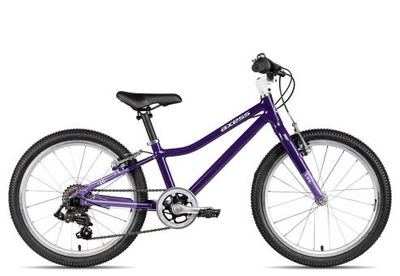 Kinderfahrrad 20 Zoll Axess LUU. 20 2025 | 20 Zoll | Diamant (Bild 2)