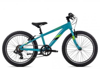 Kinderfahrrad 20 Zoll Axess STIPE 20 2025 | 20 Zoll | Diamant (Bild 1)