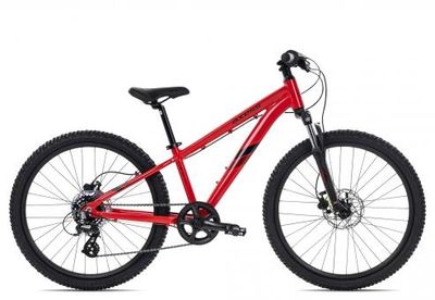 Kinderfahrrad 24 Zoll Axess STIPE Pro 2023 | 24 Zoll | Diamant (Bild 1)