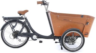 E Lastenrad Babboe Carve-E 2024 | 450 Wh | 26 Zoll | Sonstige (Bild 1)