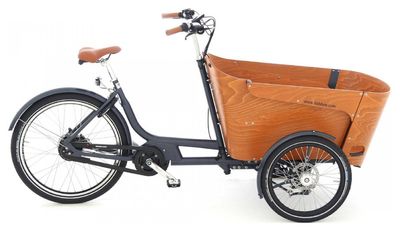 E Lastenrad Babboe Carve Mountain 2024 | 400 Wh | 26 Zoll | Dreirad (Bild 1)