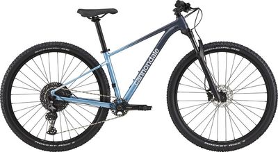 Trail Bike Cannondale Trail SL 3 2021 | 29 Zoll | Diamant | S | Slate Gray (Bild 1)