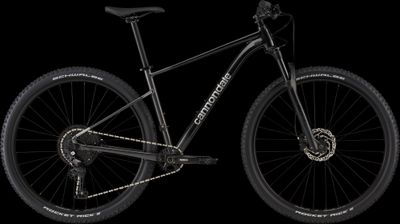 Trail Bike Cannondale Trail SL 3 2021 | 29 Zoll | Diamant | S | Black Pearl (Bild 1)