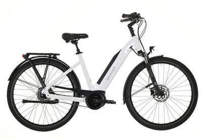 E-Stadtrad Carver Cityzen E.410 FL 2024 | 400 Wh | 28 Zoll | Tiefeinsteiger (Bild 1)