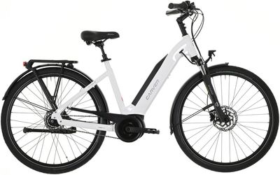 E-Stadtrad Carver Cityzen E.410 RT 2024 | 400 Wh | 28 Zoll | Tiefeinsteiger (Bild 1)