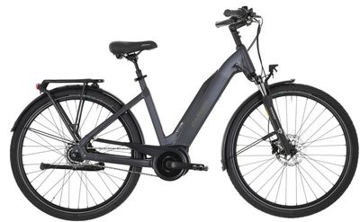 E-Stadtrad Carver Cityzen E.420 FL 2024 | 500 Wh | 28 Zoll | Tiefeinsteiger (Bild 1)