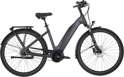 E-Stadtrad Carver Cityzen E.420 RT 2024 | 500 Wh | 28 Zoll | Tiefeinsteiger (Bild 1)