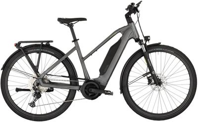 E-Bike Tourenrad Carver Route E.440 2025 | 800 Wh | 28 Zoll | Trapez (Bild 1)