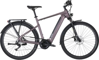 E-Bike Tourenrad Carver Route E.520 2025 | 625 Wh | 28 Zoll | Diamant (Bild 1)