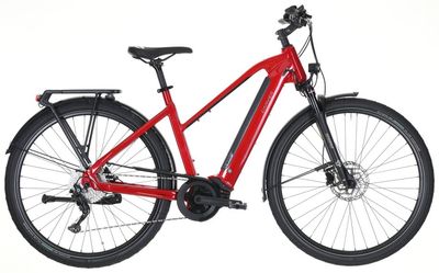 E-Bike Tourenrad Carver Route E.520 2025 | 625 Wh | 28 Zoll | Trapez (Bild 2)