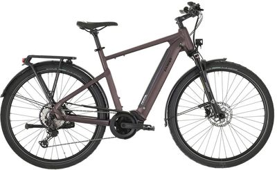 E-Bike Tourenrad Carver Route E.530 2025 | 625 Wh | 28 Zoll | Diamant (Bild 1)